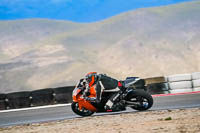 Middle Group Orange Bikes